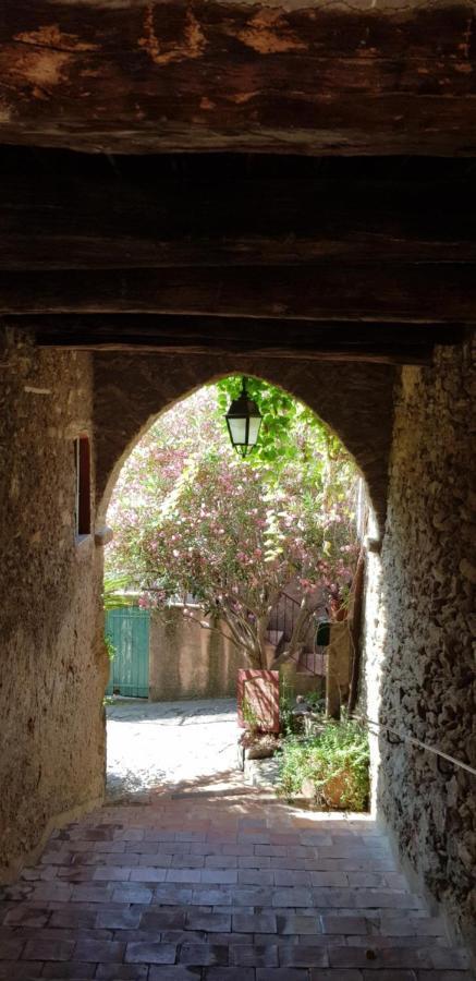 L'Odyssée Provençale: Charming Duplex with Medieval Village Views Bormes-les-Mimosas Exterior photo
